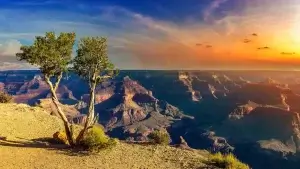 Hermit's Rest viewpoint