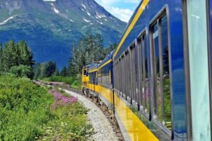 Denali Star Train from Anchorage