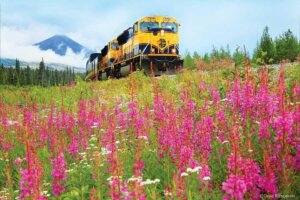 Denali Star Train from Anchorage