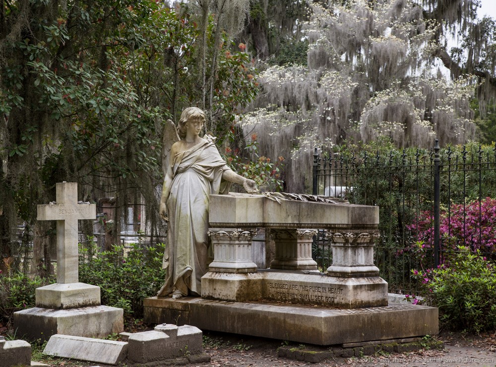Savannah Bonaventure cemetery