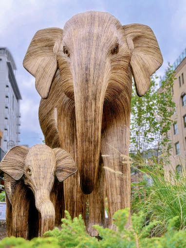 Elephant migration NYC