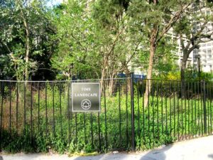 Time Landscape gate NYC